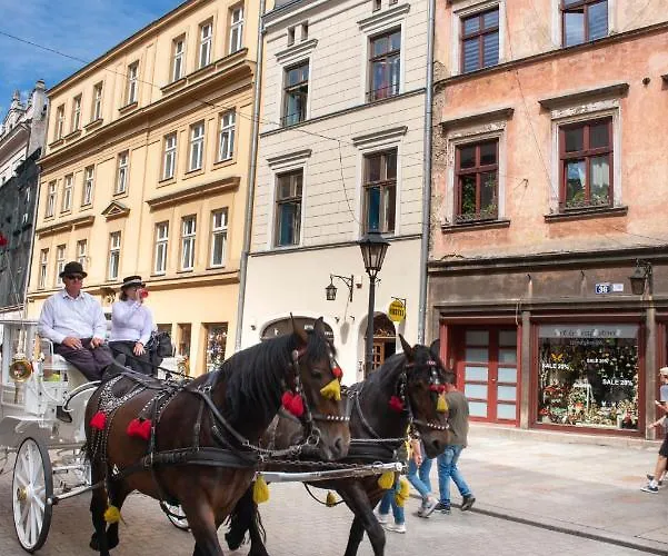 Let's Rock Party Hostel! Age Limit From 18 Until 40! *